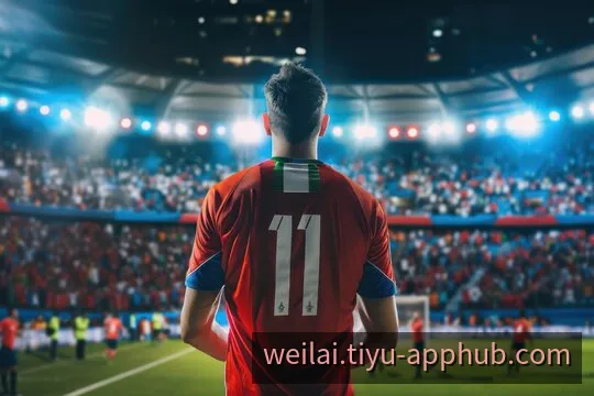 纬来应用导航系统界面与多端设备体验